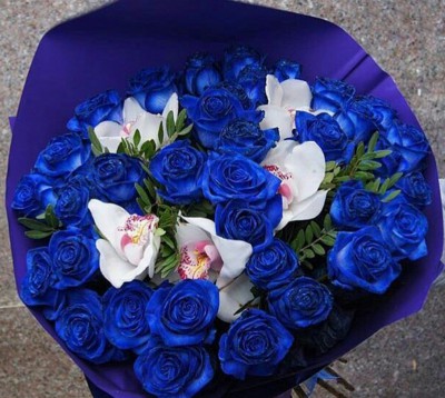 Синие розы #R307