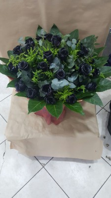 Чёрные розы #R577