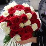 Красные - белые  розы 31 Шт#R1693